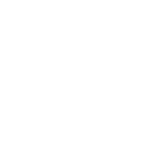 Technical Support (On-site & Remote)