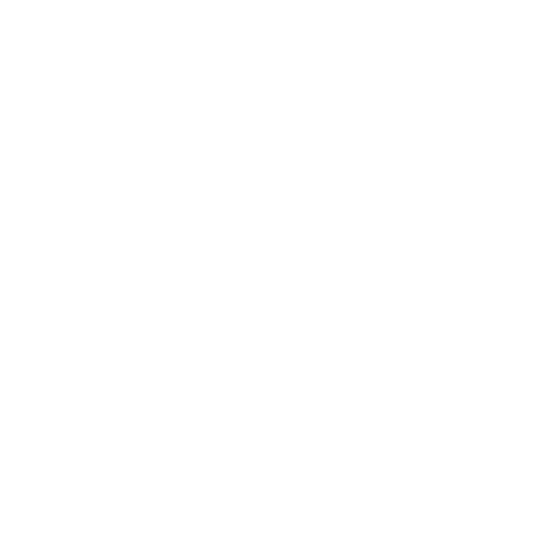 IT Consultancy & System Optimization